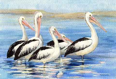 Five Pelicans 22