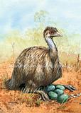 Emu  1
