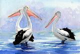 Three Pelicans 2