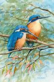 Two Kingfishers 2