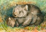 Wombat 2