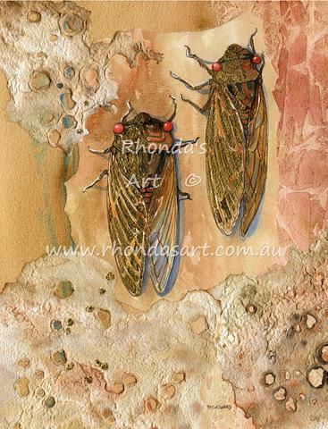 Good Season Cicadas