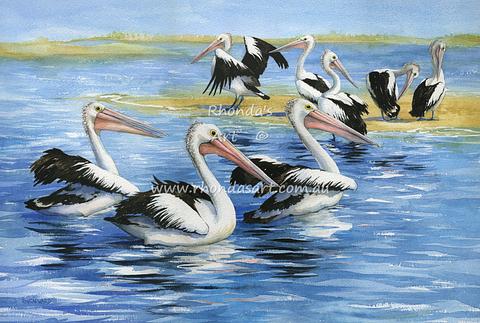 Eight Pelicans