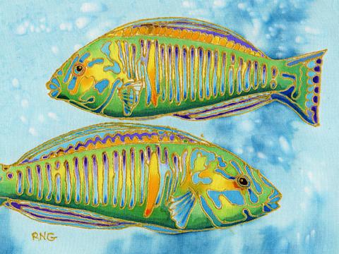 Two Parrot Fish