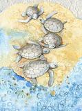 Young Turtles M1
