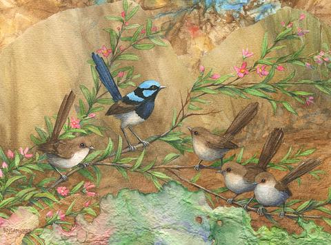 Blue Wrens with Family