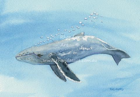Original painting from Tilly - Humpback Whale Calf