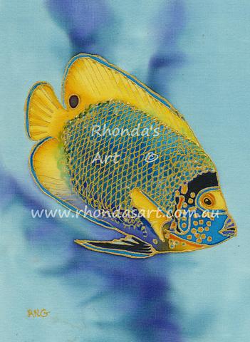 Yellow Faced Angelfish
