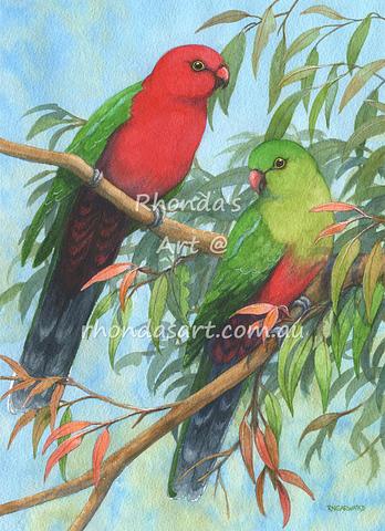 Two King Parrots