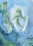 Little Green Seahorses M1