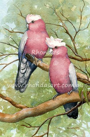 Galahs Revisited