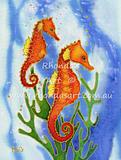 Orange Seahorses