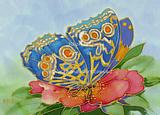 Patterned Butterfly