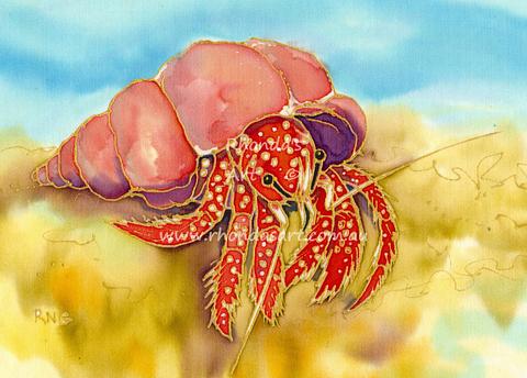 White Spotted Hermit  Crab