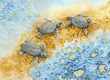 Three Turtles M2