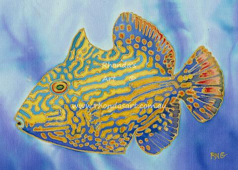Blue Lined Triggerfish