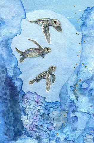 Three Swimming Turtles