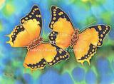 Tailed Emperor Butterflies