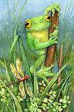 Green Frog with Dragonfly