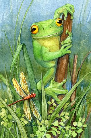 Green Frog with Dragonfly