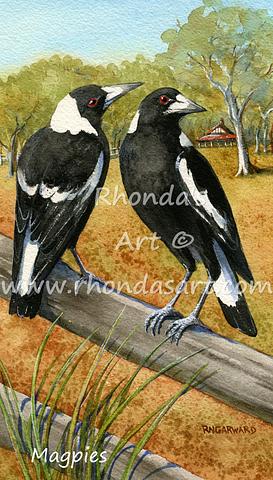 Magpies on the fence