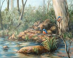 Kingfishers at the Creek